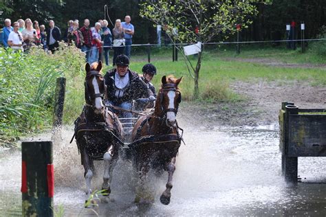 Carriage Driving Race · Free Stock Photo