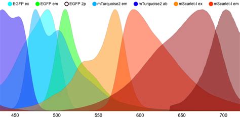 Fluorophore Chart: A Visual Reference of Charts | Chart Master