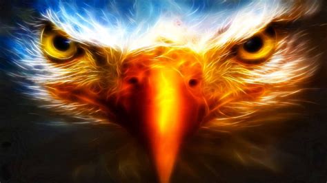 3d Wallpaper Eagle Eyes Widescreen Cool Wallpapers For Pc, Cool Desktop ...