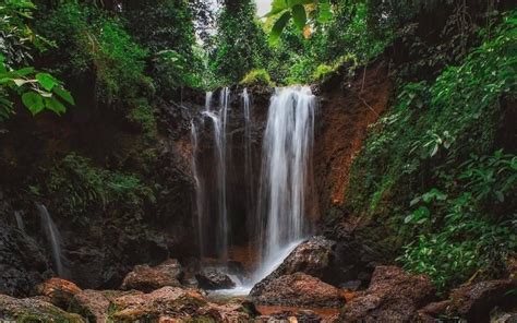 9 Road Trips to the Waterfalls in Goa in 2021 - Tourist Attractions and ...