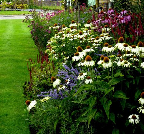 The Best Perennial Flower Border Ideas 2023