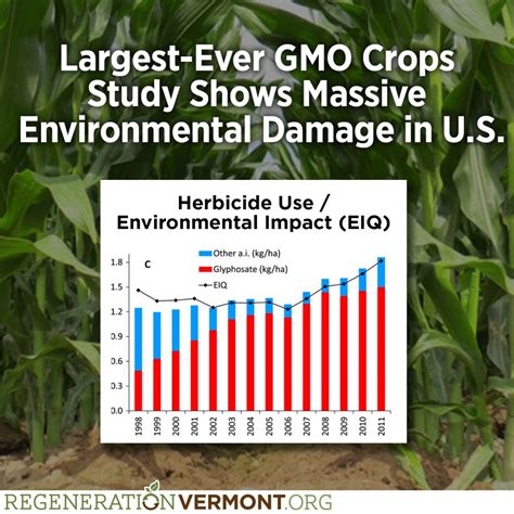 Largest-Ever GMO Crops Study Shows Massive Environmental Damage in US ...