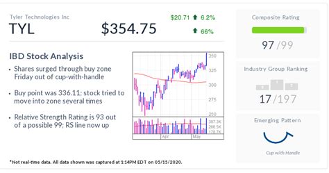 Tyler Stock Gains As Public Sector Software Supplier Bucks Covid-19 ...