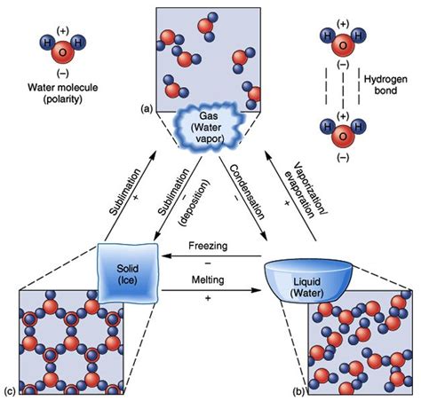 Water Phase Change