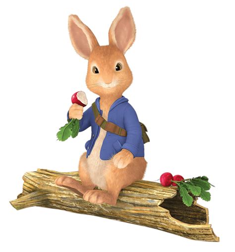 Download Peter Rabbit Sitting on Tree Trunk transparent PNG - StickPNG