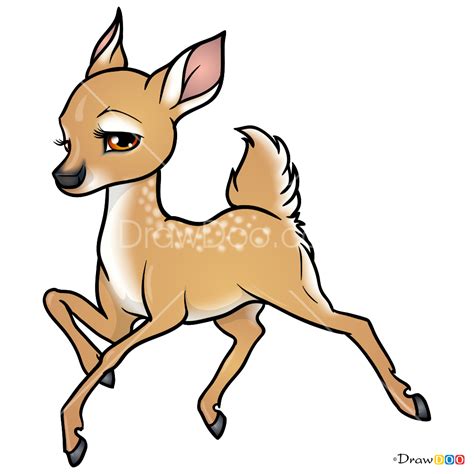 How to Draw Cartoon Deer, Deer