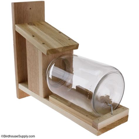 Songbird Essentials Squirrel Jar Feeder | Squirrel feeder, Feeder, Squirrel