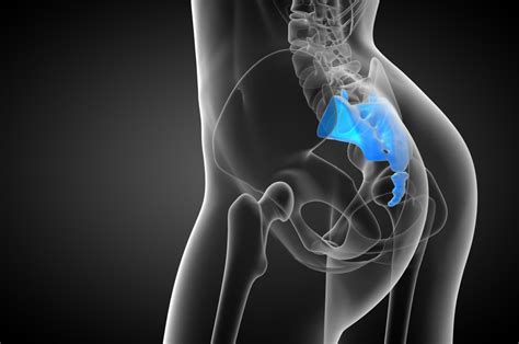 What Is Your Hip Pain Really Made Of? – Central Wellington ...