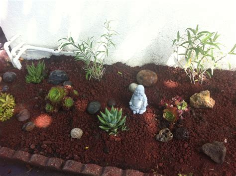 Lava rock garden | Landscaping with rocks, Rock garden, Lava rock landscape