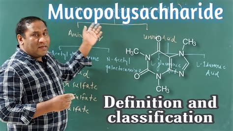 Mucopolysaccharides definition classification example & functions|| # ...