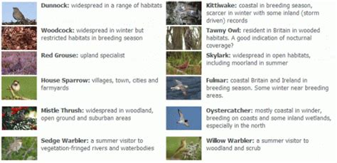 Monitoring progress | BTO - British Trust for Ornithology