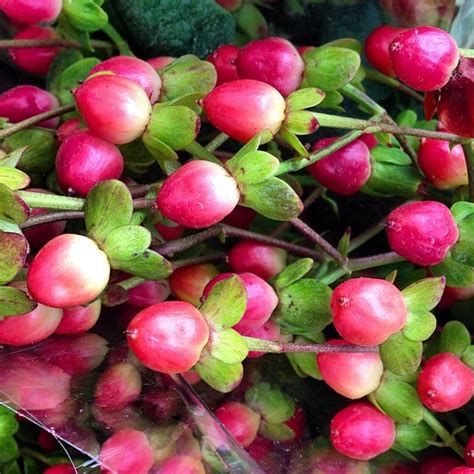 Mar Vista Farmers Market - Farmers Market in Los Angeles