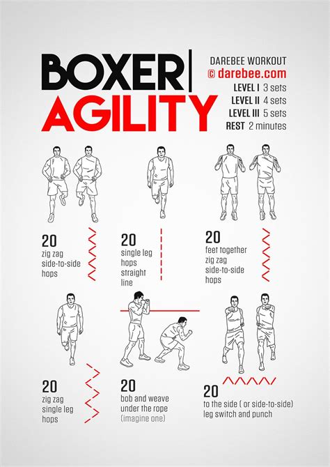 Boxer Agility Workout | Boxing training workout, Boxer workout, Agility ...