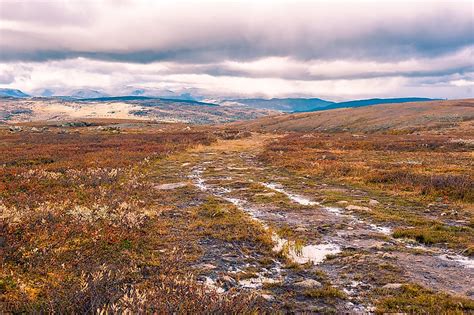 What Is A Moorland? - WorldAtlas