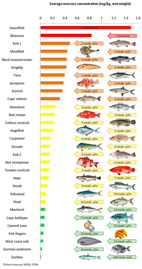 yellowtail mercury