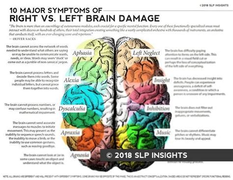 This handout provides simplified breakdown of the basic differences ...