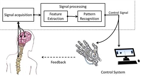 Brain-machine interface - Electrical e-Library.com