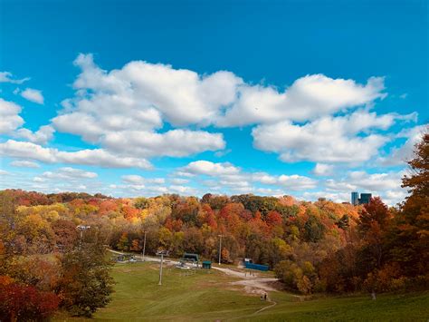 Earl Bales Park : r/toronto