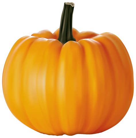 Cucurbita pepo Cucurbita maxima Pumpkin Clip art - pumpkin png download ...