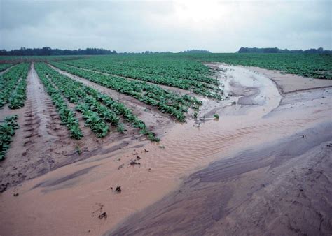 EPA Encourages Market-Based Approach To Reduce Runoff To Great Lakes