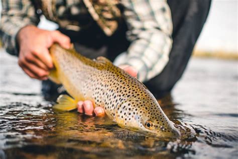 Fly Fishing Photography: 9 Tips to Take Better Photos | GearJunkie