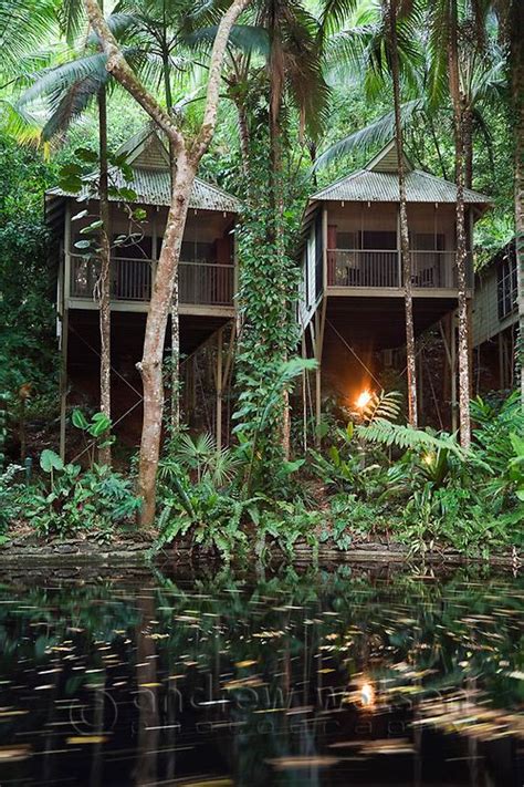 Rainforest villas at the Daintree Eco Lodge and Spa. Daintree ...