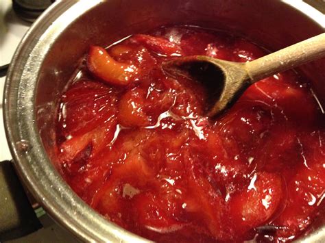 Simple Stewed Plums Recipe | Cauldrons and Cupcakes