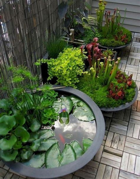 20+ Small Water Garden Ideas – HomeDecorish