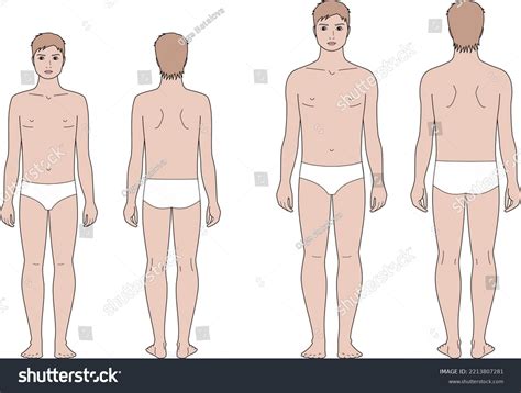 Boy Teenager Figure Body Proportions 12 Stock Vector (Royalty Free ...