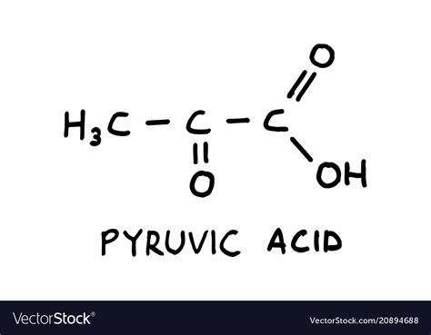 Pyruvic acid structural formula Royalty Free Vector Image