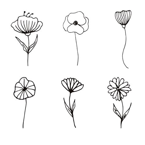 Flower Line Png Doodle Flower Png Floral Doodle Png Vippng | The Best ...