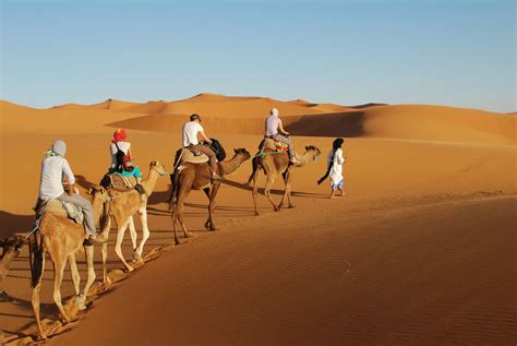 ¿Cuánto cuesta una excursión al desierto del Sahara en Marruecos?