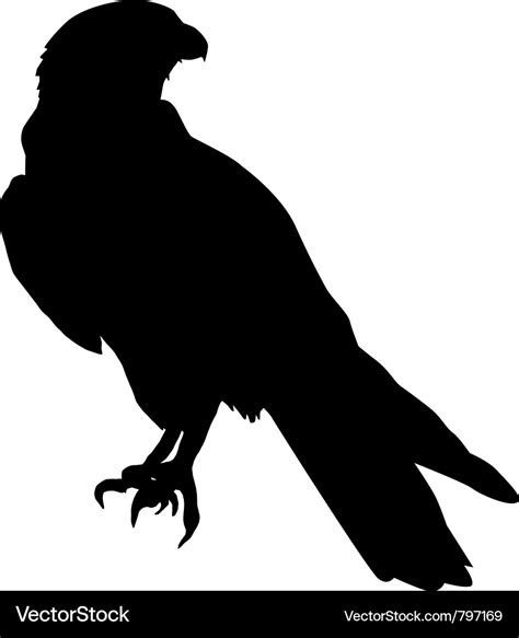 Silhouette of falcon Royalty Free Vector Image