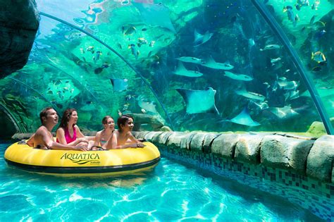 Best Water Parks In Texas for 2018 - Stephanie Cribbs