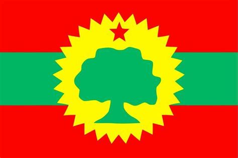 Oromo Flag: 5 Types for Oromia/Oromiya and What You Must Know ...