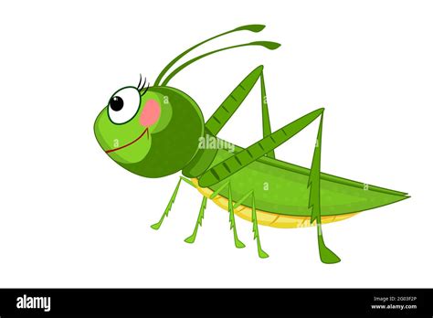 Cricket Bug Clipart Pics