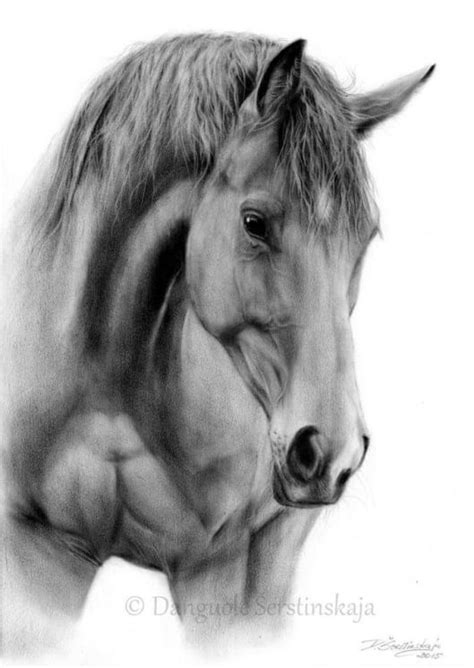 Horse Head Drawing Realistic - Horse Head Drawings Drawing Sketch ...