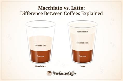 Macchiato vs. Latte: Difference Between Coffees Explained