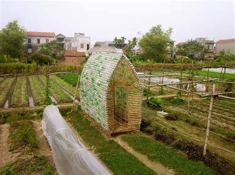 12 Allotment Design Ideas - Lentine Marine | 9979