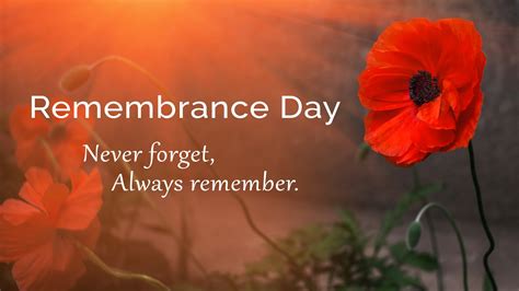 Remembrance Day Ceremony Nov 8th @ 10:45 am - Pembina North Community ...