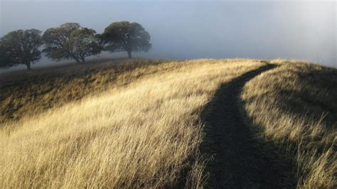 Empty Field Pathway wallpaper | nature and landscape | Wallpaper Better