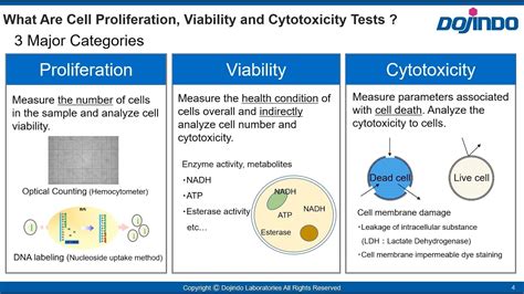 Seminar for Cell Proliferation Cell Viability Cytotoxicity Dojindo ...