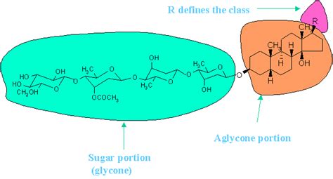 Cardiac Glycosides