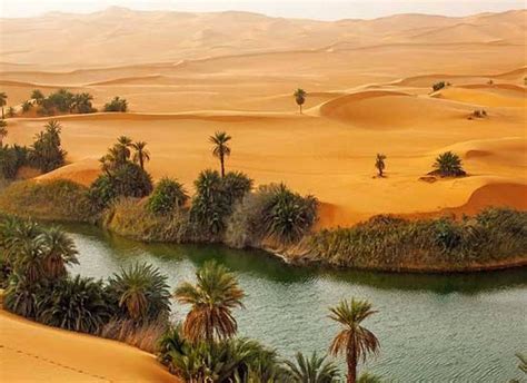 Oasis Sahara | Deserts of the world, Amazing places on earth, Libya