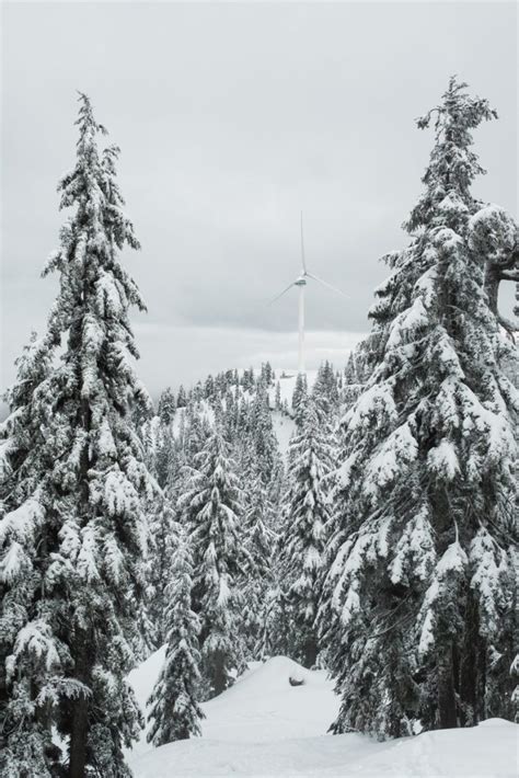 Grouse Mountain snowshoeing in the fog • Wedding photographers for ...