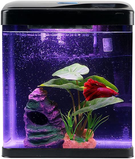 Coospider 2 Gallon Glass Betta Fish Tank Kit Mini Aquarium Tank Small ...