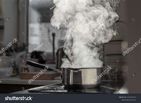 Boiling Water Steam Pot On Electric Stock Photo 2142412417 | Shutterstock