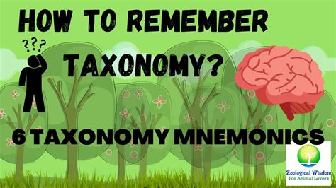 6 ways to remember taxonomic hierarchy | Taxonomy | Biology Mnemonic in ...