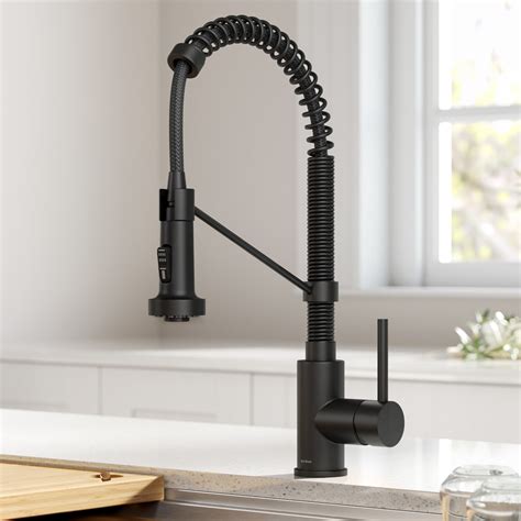 Pull Down Coil Kitchen Faucet Reviews | Review Home Co