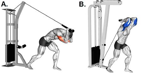 Cable Overhead Tricep Extension: Form, Benefits, and Variations ...